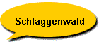 Schlaggenwald
